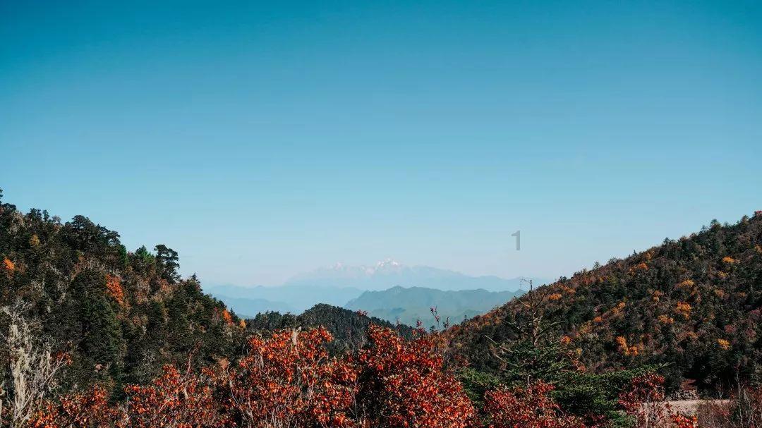 山西省浮山县发布寒潮黄色预警