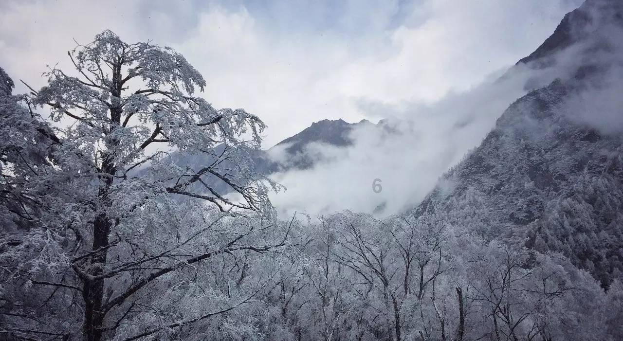 死亡细胞